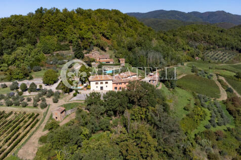 szd_Azienda agricola