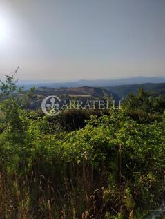 IMG_20250626_1915112