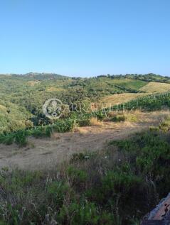 IMG_20250626_1919193