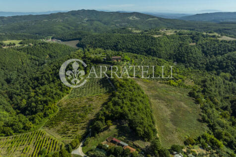 Casale panoramico co