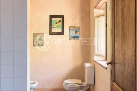 Villa storica con vi