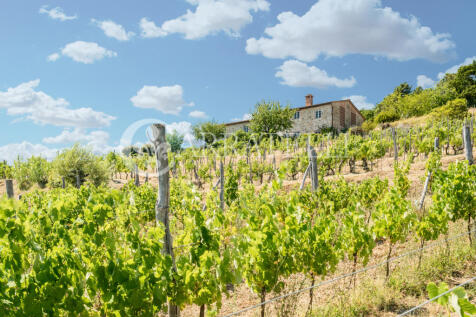 Villa storica con vi