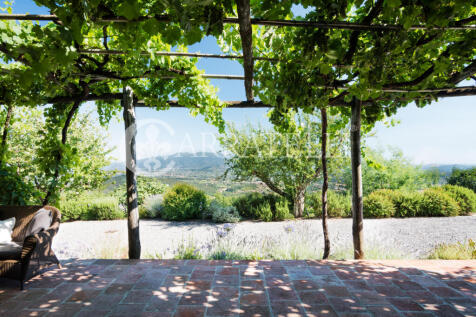 Villa storica con vi