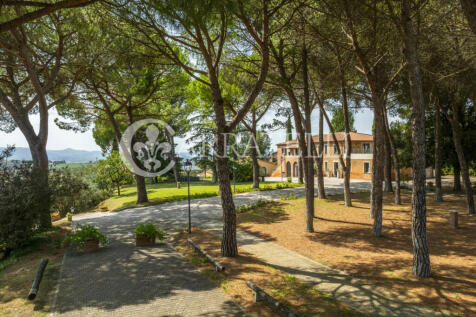 Wine Resort con Cant