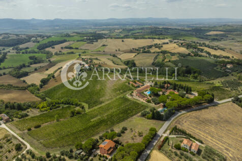 Wine Resort con Cant