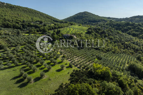 Borgo con casali e t
