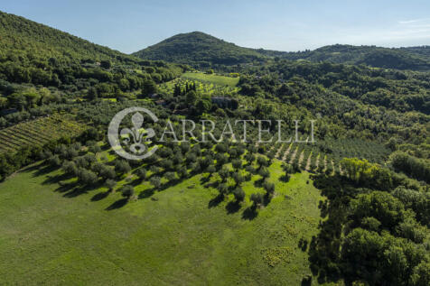 Borgo con casali e t