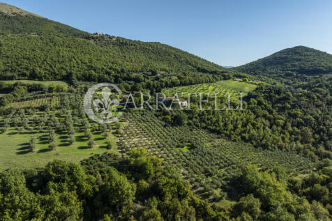 Borgo con casali e t