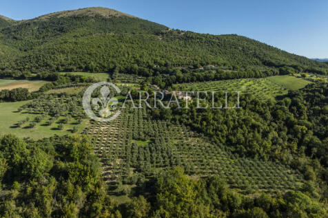 Borgo con casali e t