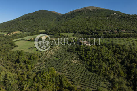 Borgo con casali e t