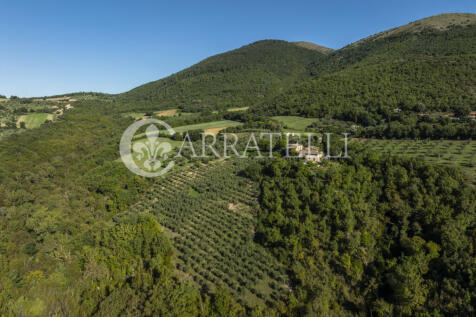 Borgo con casali e t