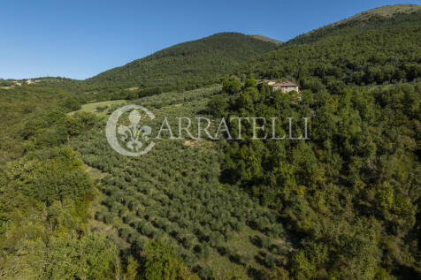 Borgo con casali e t