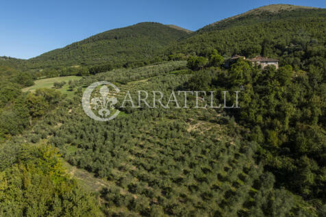 Borgo con casali e t