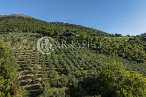 Borgo con casali e t