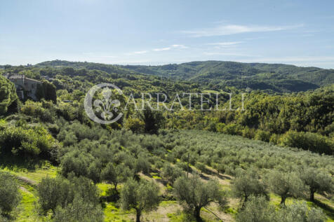 Borgo con casali e t