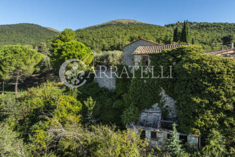 Borgo con casali e t