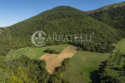 Borgo con casali e t