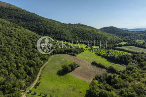 Borgo con casali e t