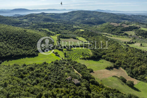 Borgo con casali e t