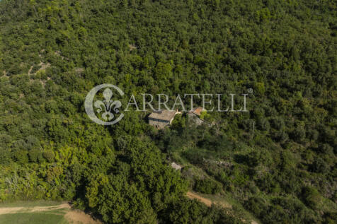 Borgo con casali e t
