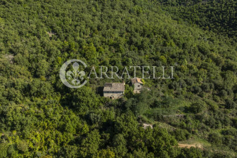 Borgo con casali e t