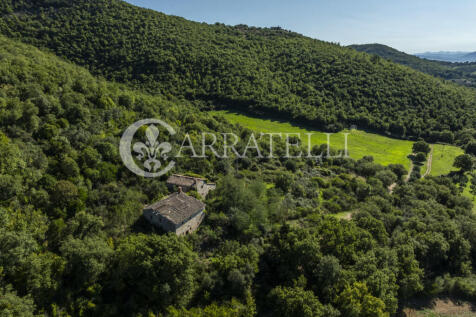 Borgo con casali e t