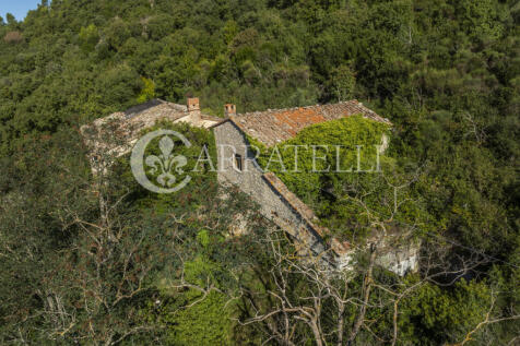 Borgo con casali e t