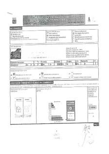 Ape Valentini_page-0