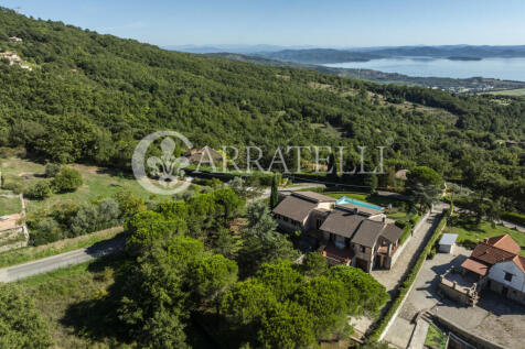 Trasimeno graziosa v