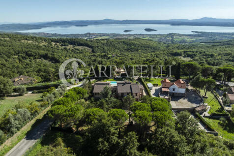 Trasimeno graziosa v