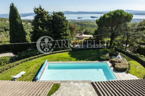 Trasimeno graziosa v