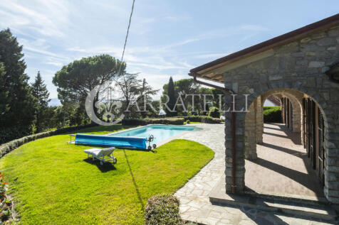 Trasimeno graziosa v