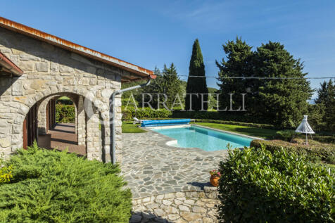 Trasimeno graziosa v