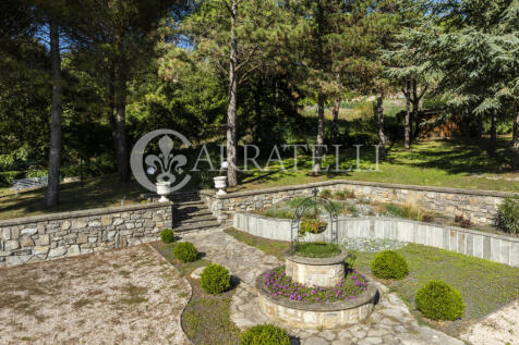 Trasimeno graziosa v