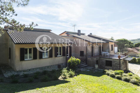 Trasimeno graziosa v