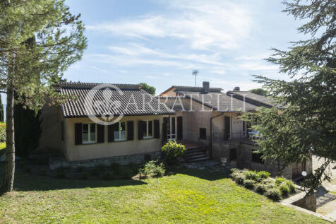 Trasimeno graziosa v