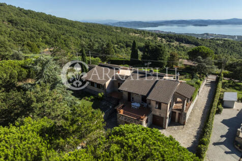 Trasimeno graziosa v