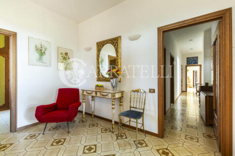 Trasimeno graziosa v