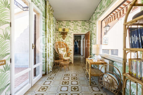 Trasimeno graziosa v