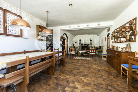 Trasimeno graziosa v