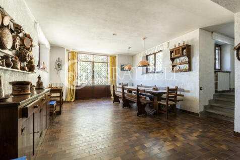 Trasimeno graziosa v