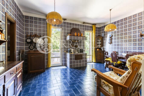 Trasimeno graziosa v