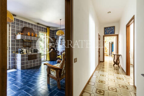 Trasimeno graziosa v