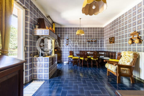 Trasimeno graziosa v