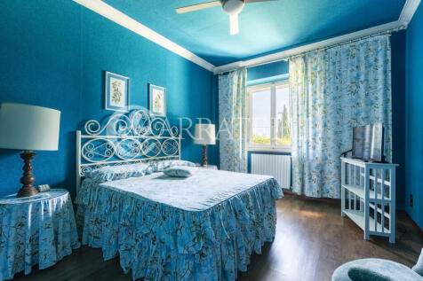 Trasimeno graziosa v