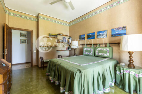 Trasimeno graziosa v