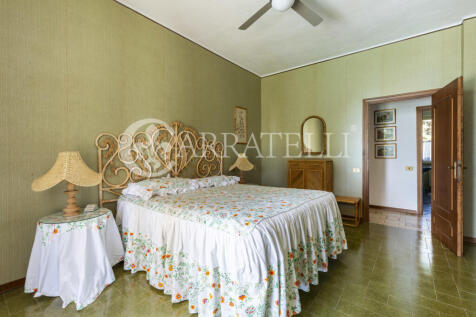 Trasimeno graziosa v