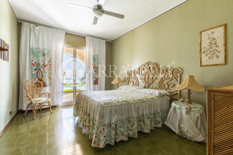 Trasimeno graziosa v