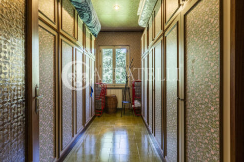 Trasimeno graziosa v