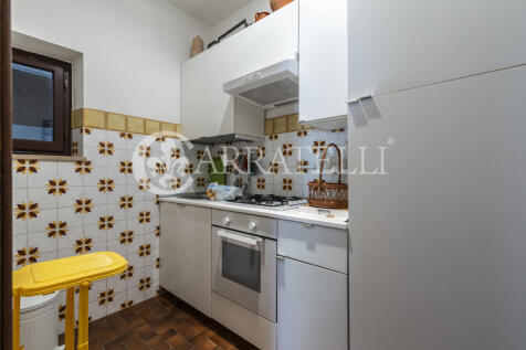 Trasimeno graziosa v